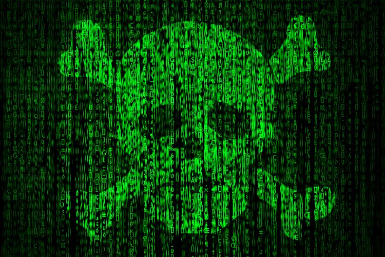 hacker skull picture